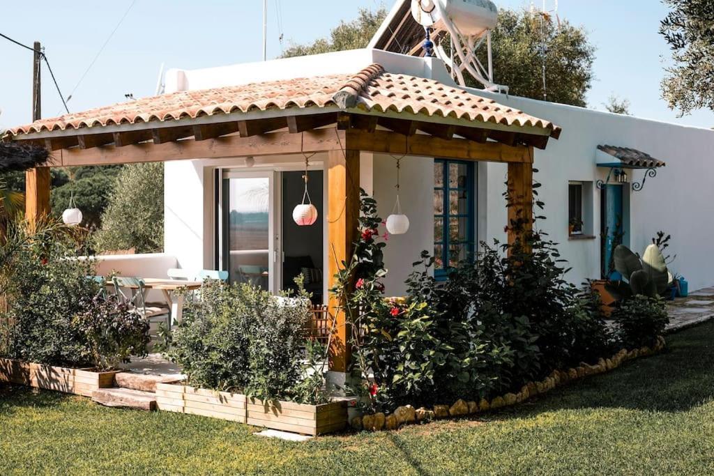 Villa Soul Casas à Vejer de la Frontera Extérieur photo