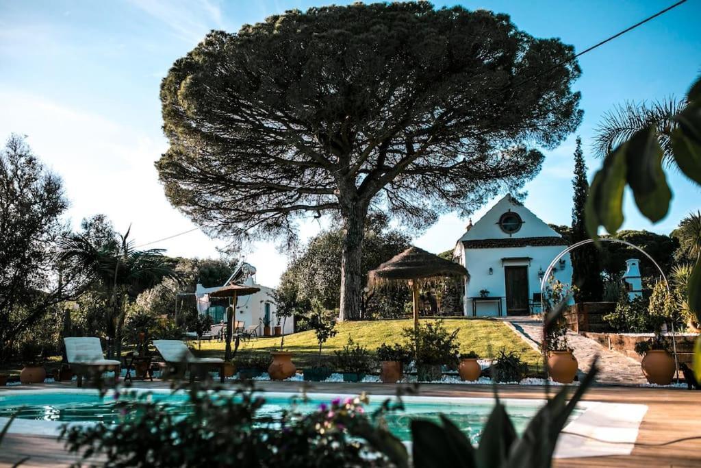 Villa Soul Casas à Vejer de la Frontera Extérieur photo