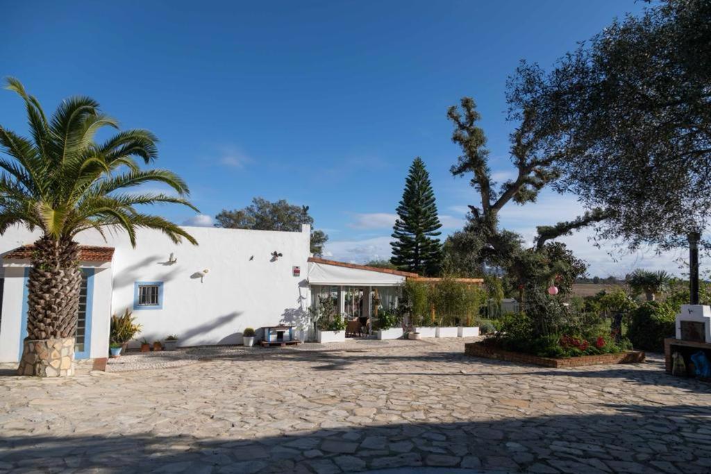 Villa Soul Casas à Vejer de la Frontera Chambre photo